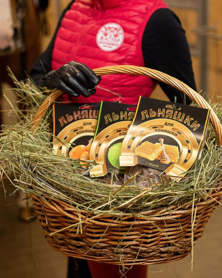 Идальго: Лакомство для лошадей "Льняшки для коняшки" с алтайским мёдом, 200 гр.