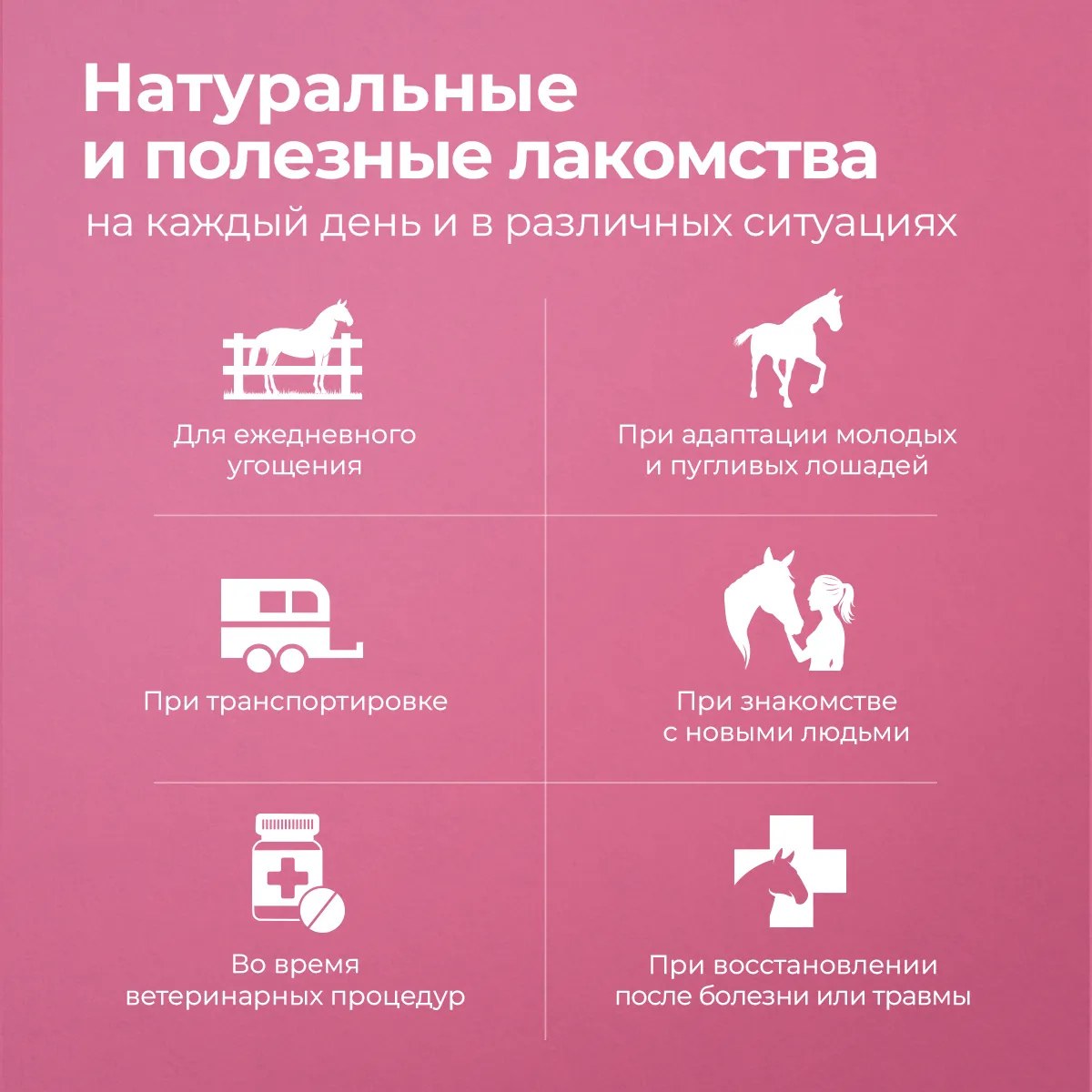 Longside Лакомство для лошадей, укрепляющее доверие. Спелая вишня 4 х 500 г