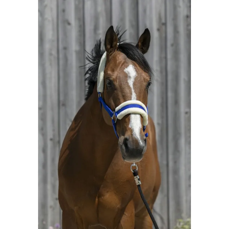 Недоуздок с мехом RIDING WORLD