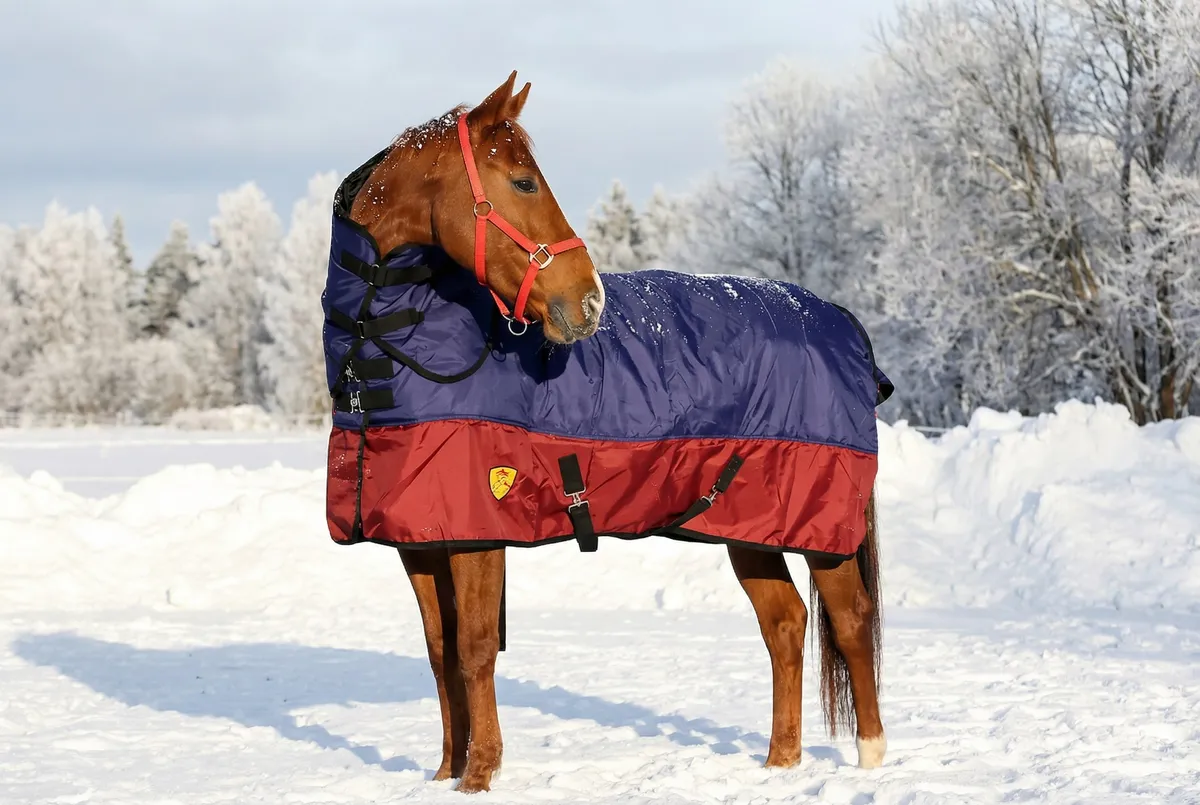 Попона Equiman зимняя со съемным капором 900D, 400 g