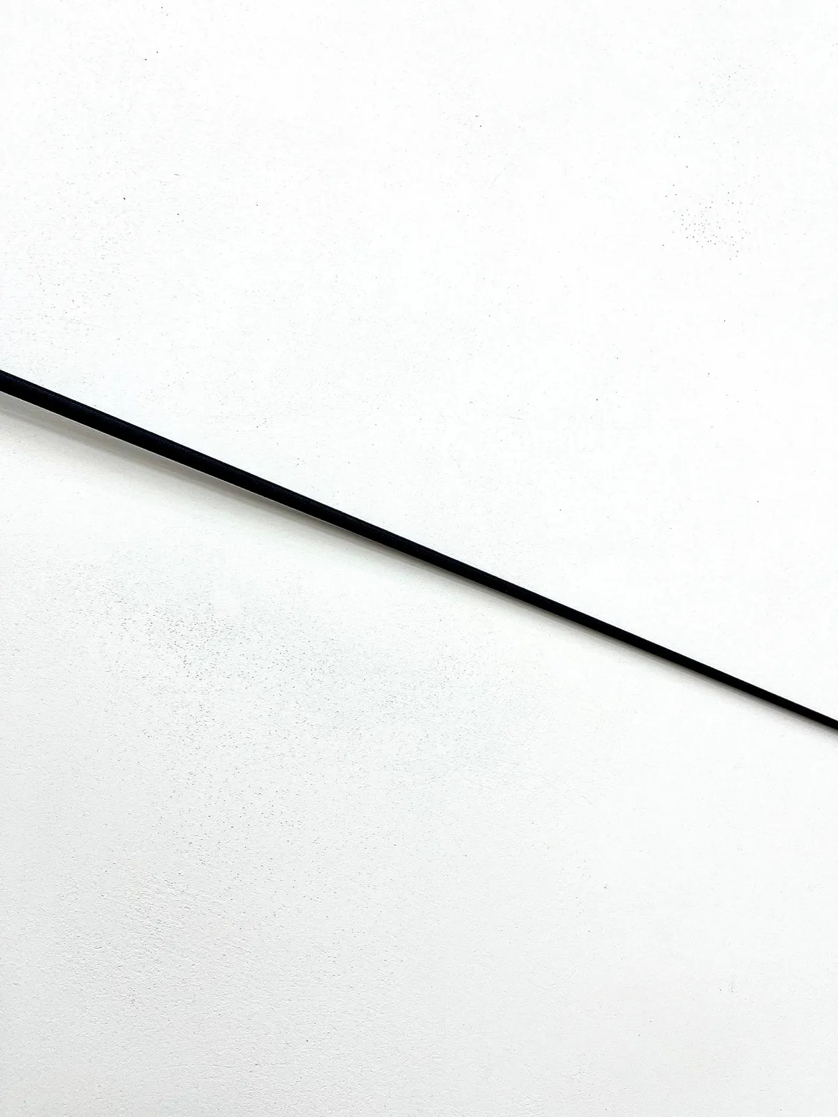 Хлыст выездковый 120 см