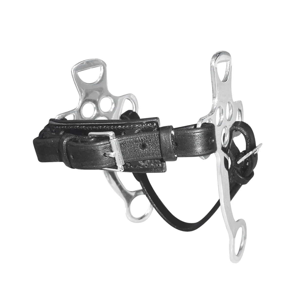 Хакамора кожаная