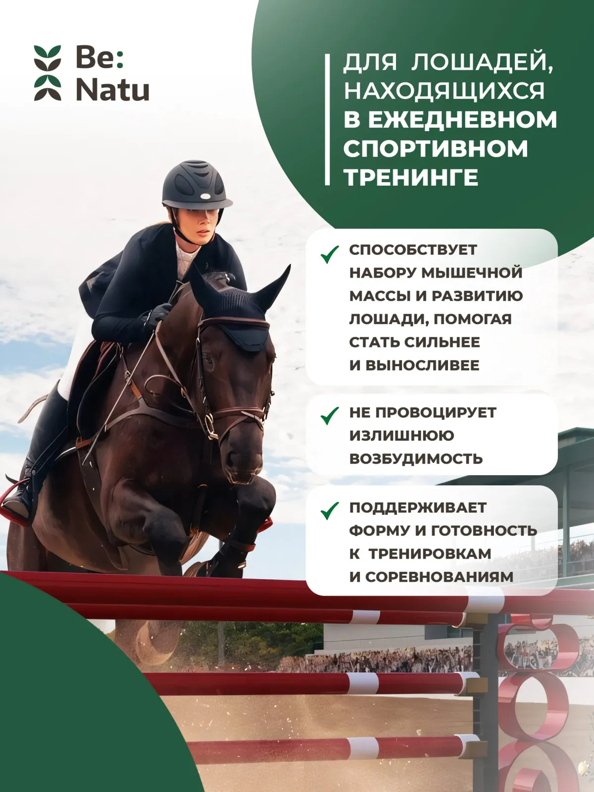 Every day mix 20 кг