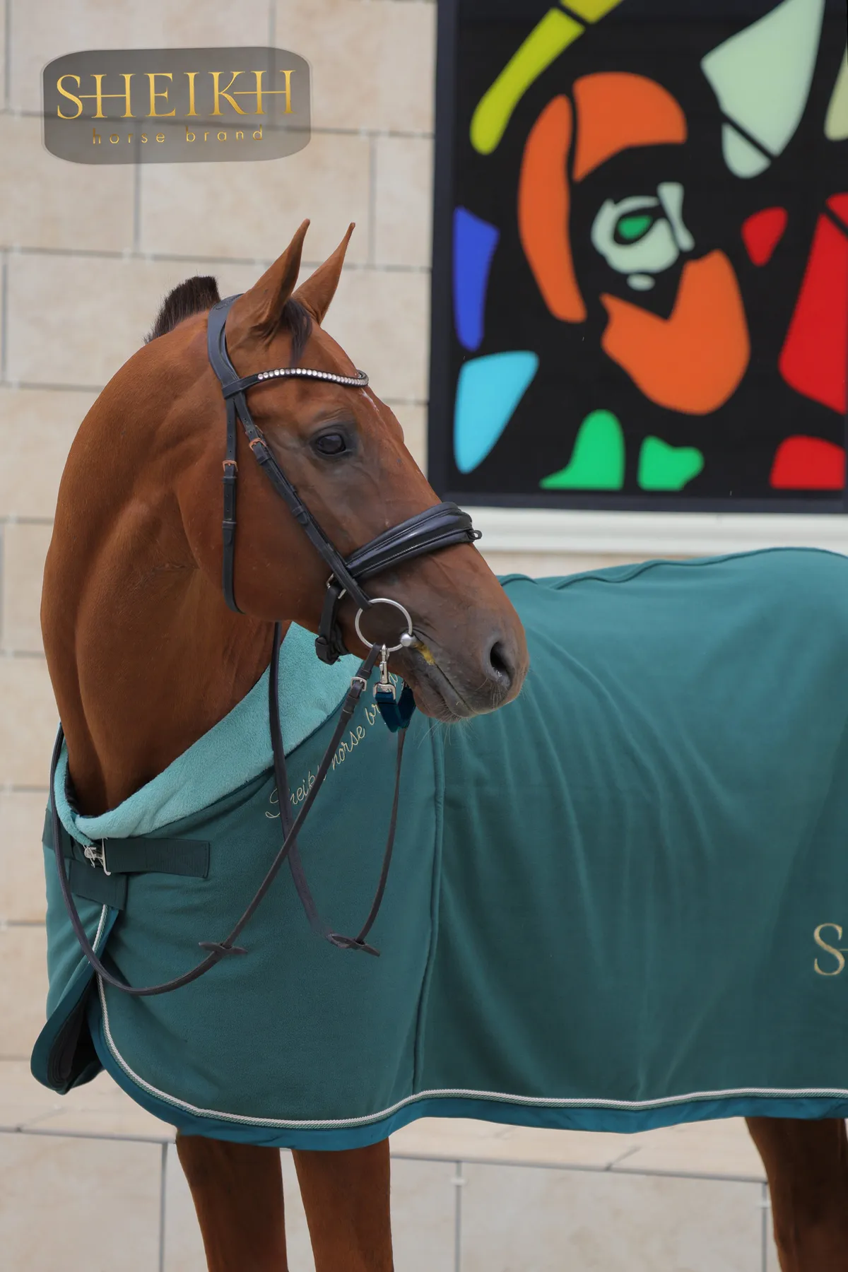 Попона SHEIKH HORSE BRAND, коллекция ORIENTAL, цвет зеленый, р-р 145