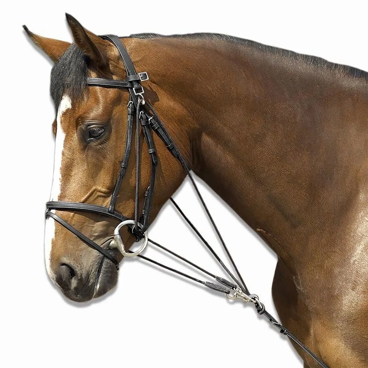 Гог кожаный с четырьмя карабинами / шпрунт / шамбон