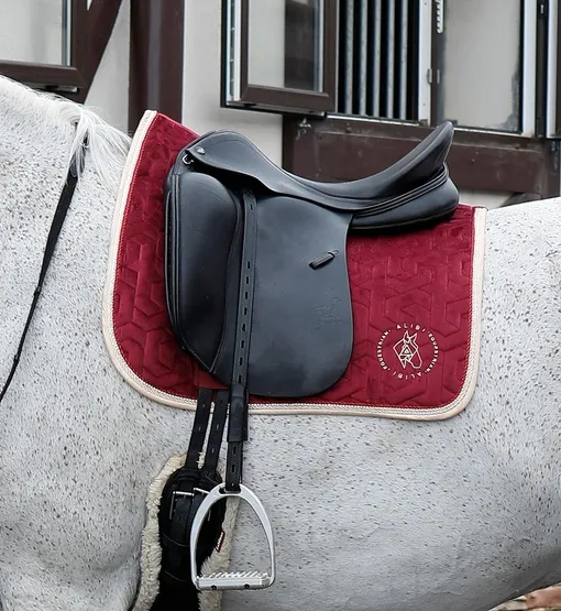 Вальтрап ALIBI выездковый велюровый