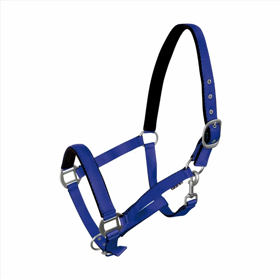 Недоуздок York Fluo синий Full