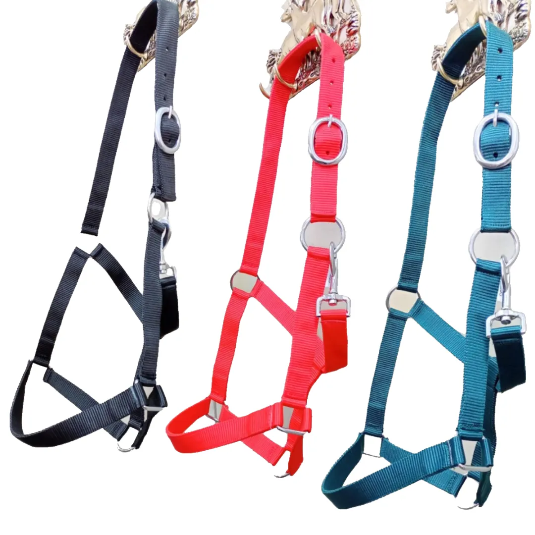 Недоуздок эконом