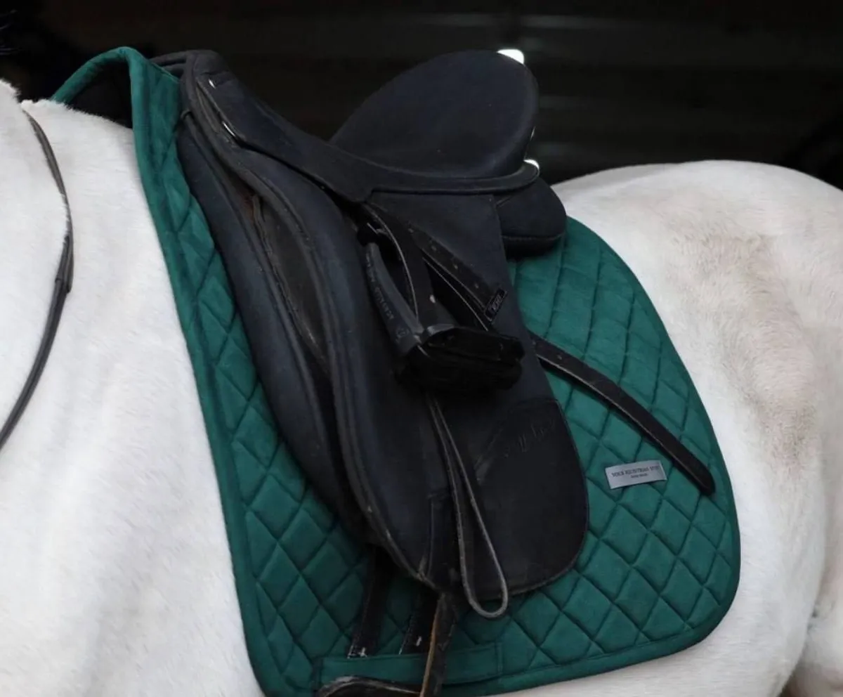 Вальтрап • Weightless • (Изумруд | выездка )