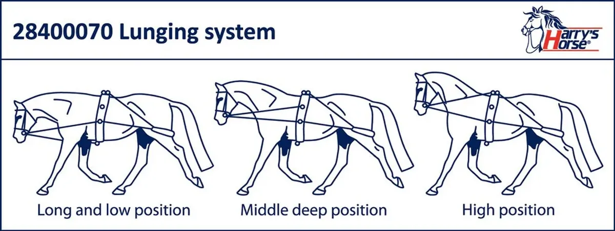 Шлея Пессоа, Harrys Horse