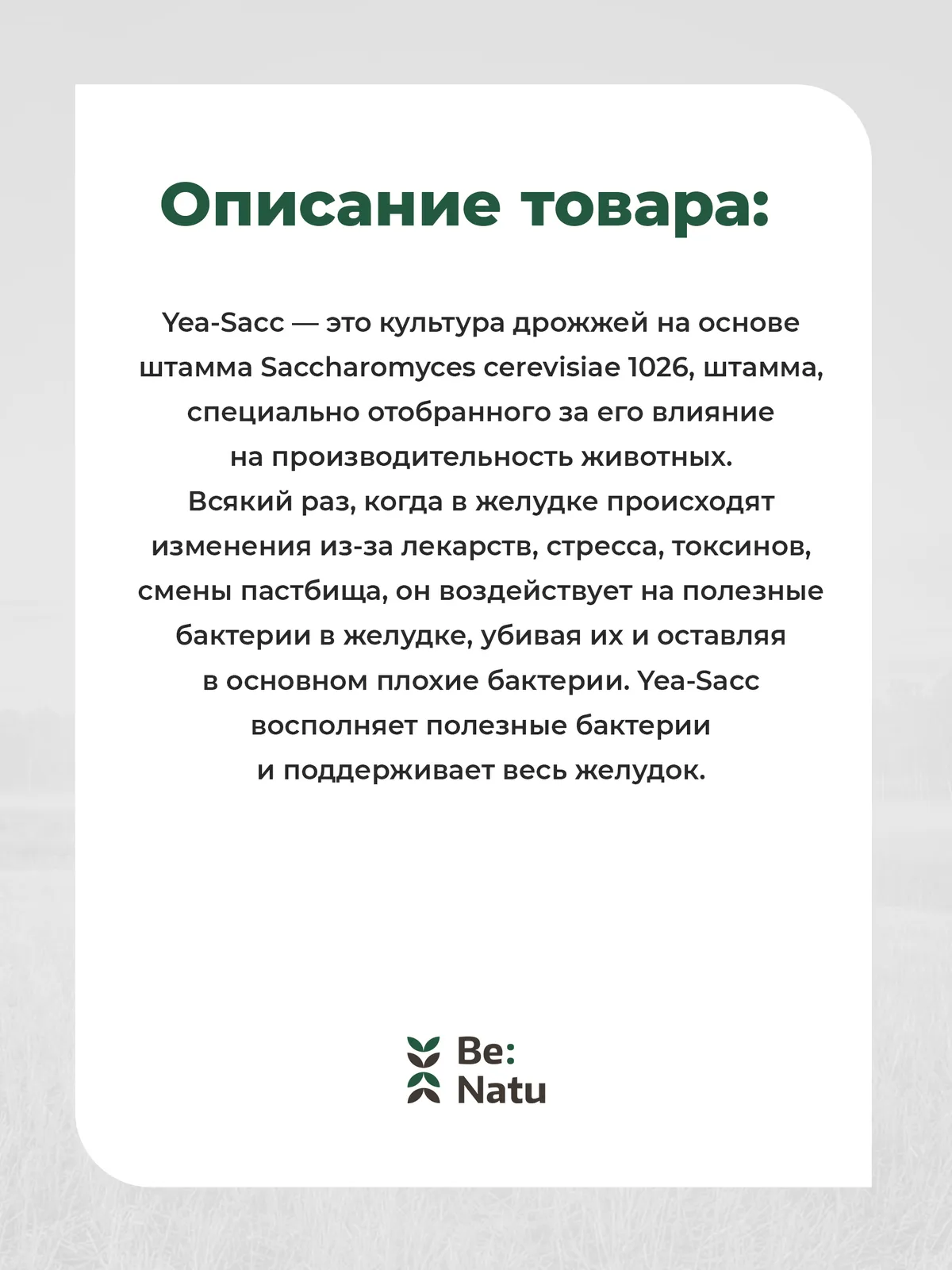 Yea-Sacc 1кг