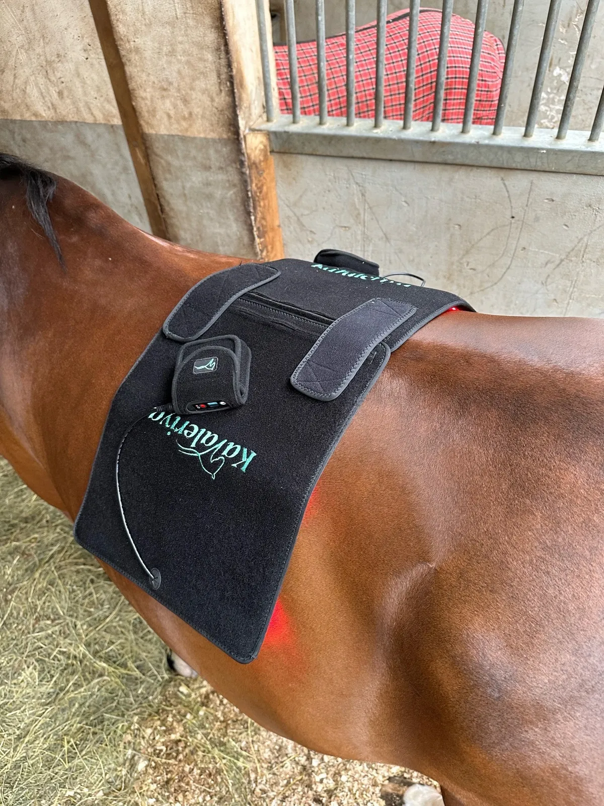 LED-PAD ногавки 1 шт