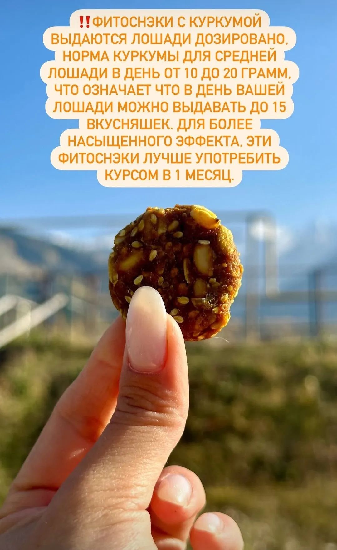 Лакомства для лошадей. Флаксы натуральные (травы имунные)