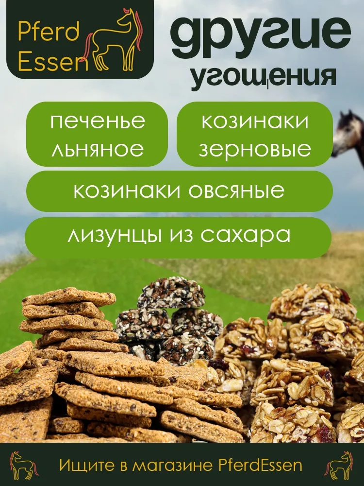 Лизунец (ликит) без сахара яблочный 600гр PferdEssen