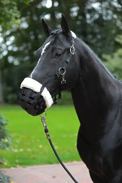 Намордник Teddy