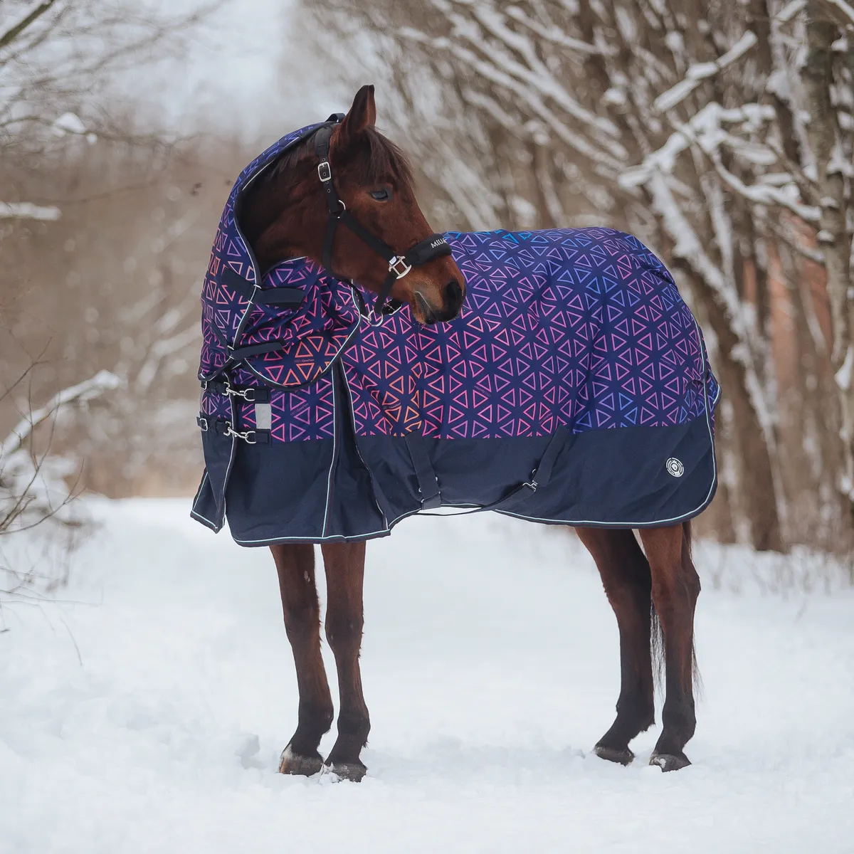 ПОПОНА ПРОГУЛОЧНАЯ OKINAWA С КАПОРОМ, 300 ГР, 145см