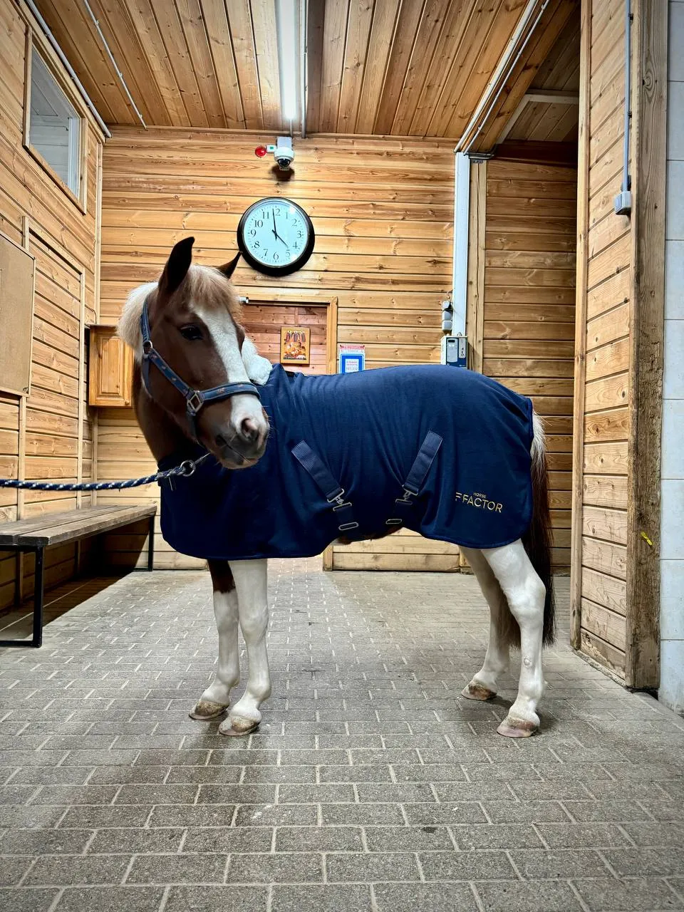 Попона флисовая для пони или жеребят HorseFactor (синяя) (100 см)