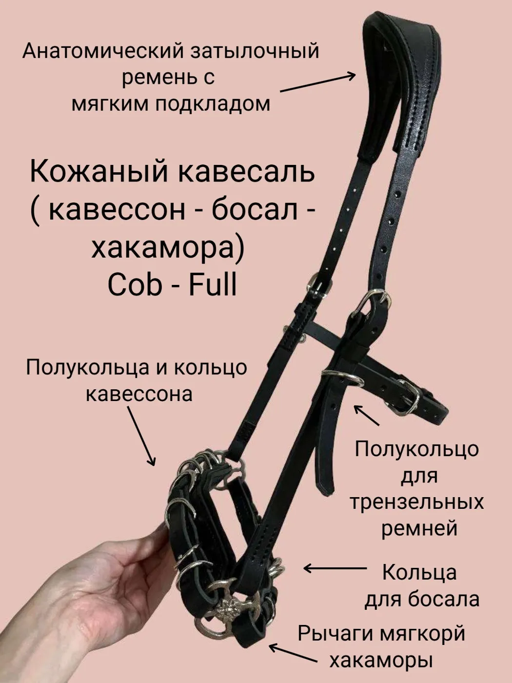 Кавесаль (Кавессон - хакамора - сайдпул - босал) Cob - Full