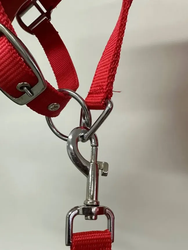 Недоуздок с нейлоновым чомбуром NETA FULL