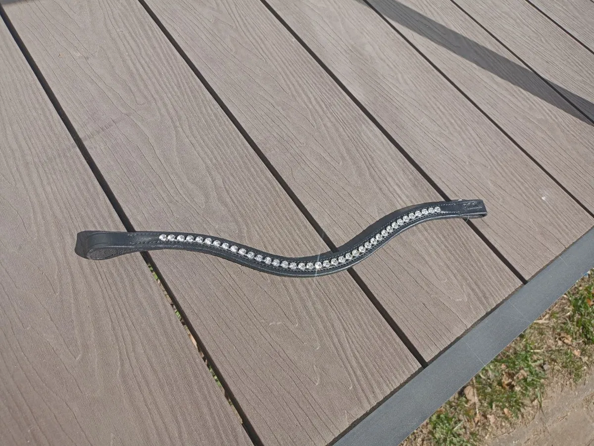 Налобный ремень Tasmanya, full