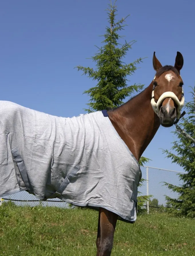 Вафельная попона HorsePlanet