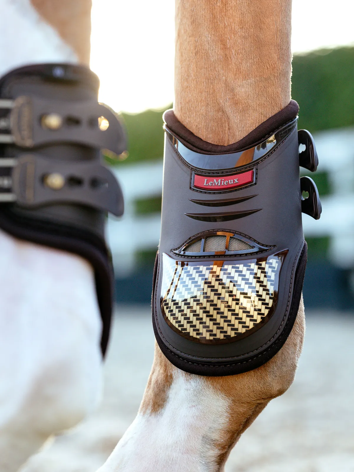 Ногавки на винтах Exo-Flex LeMieux коричнево-золотые Full стан 4 шт.