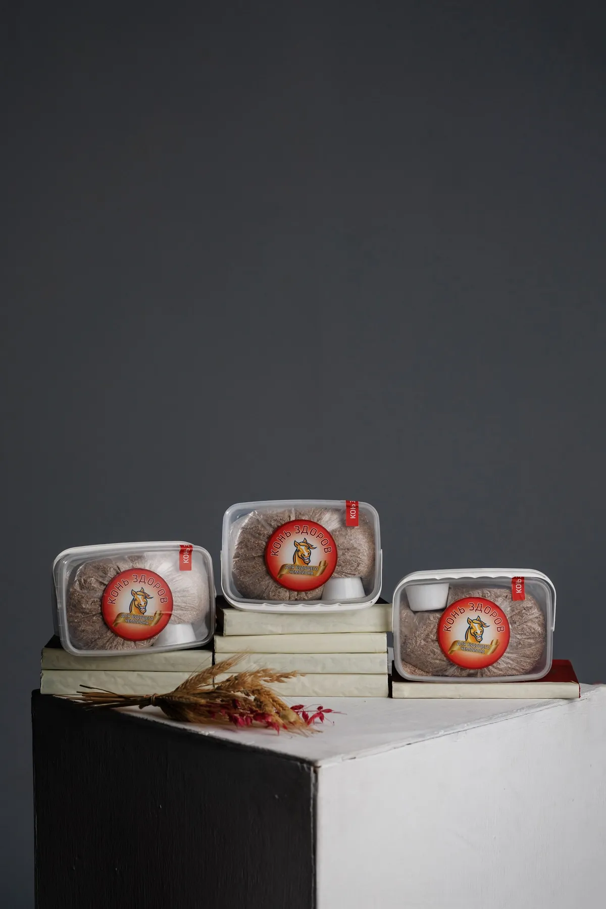 Для Будущих Чемпионов