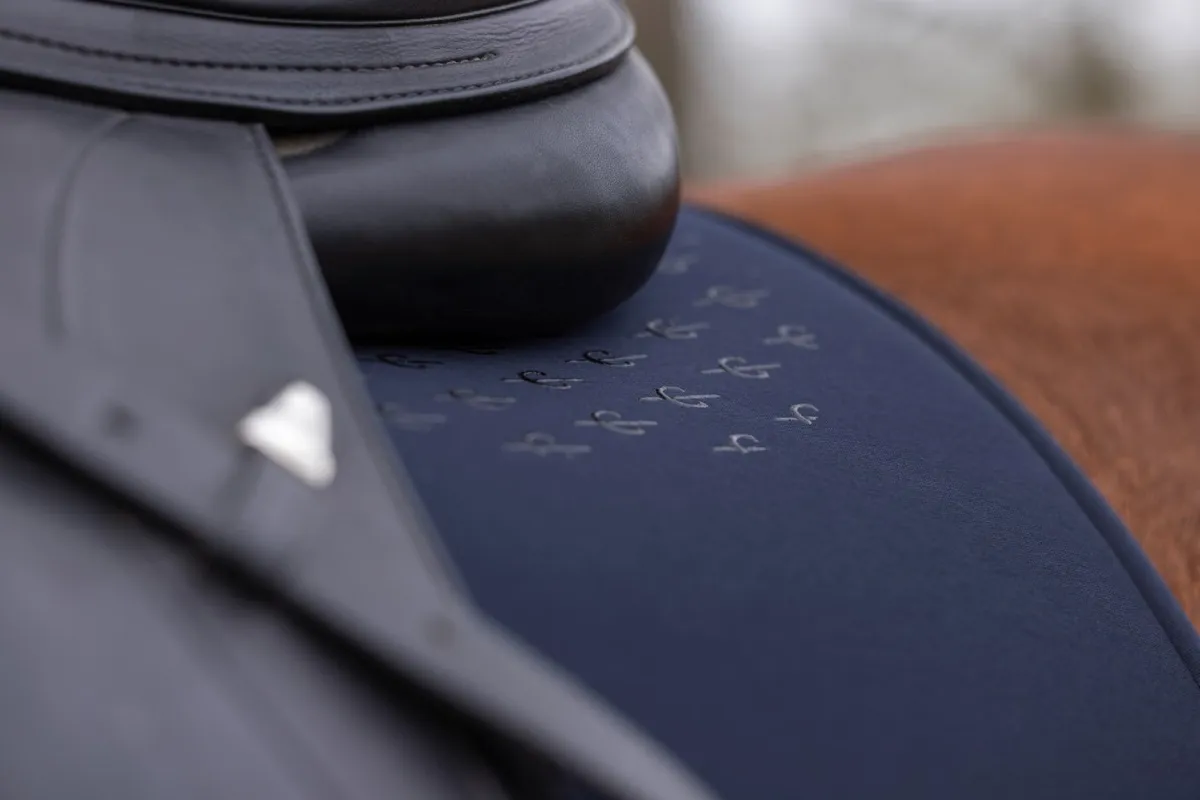 Вальтрап выездковый Memory Ride