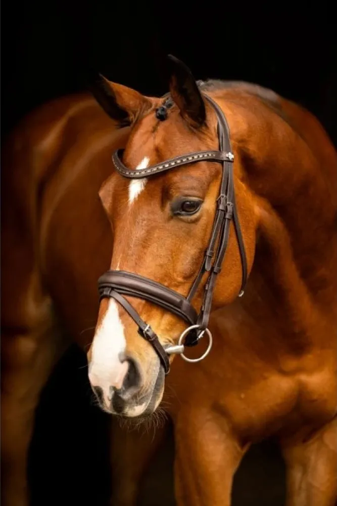 уздечка LeMieux Arika Dressage bridle 