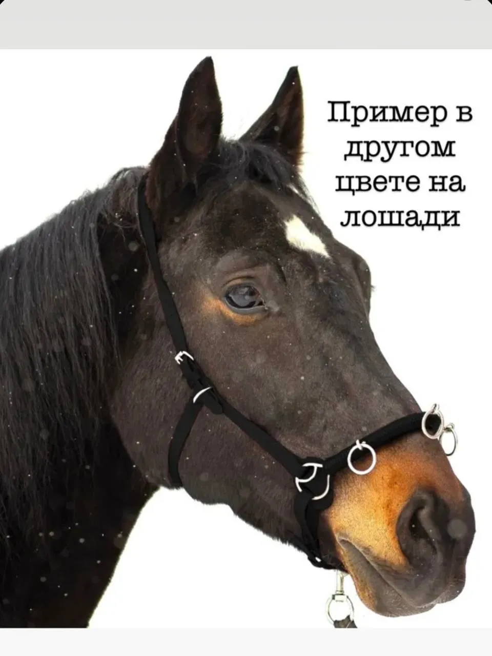 Биотановый кавессон с цепью Pony - Cob