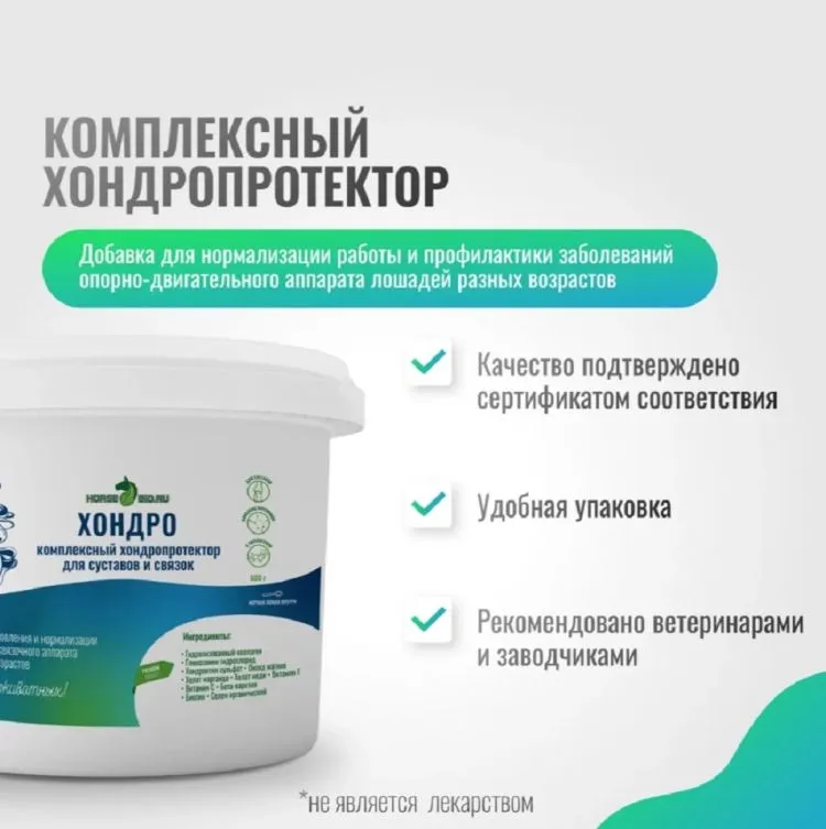 Horse-bio: Хондропротектор Хондро ArtroPro для лошадей, 600 гр.