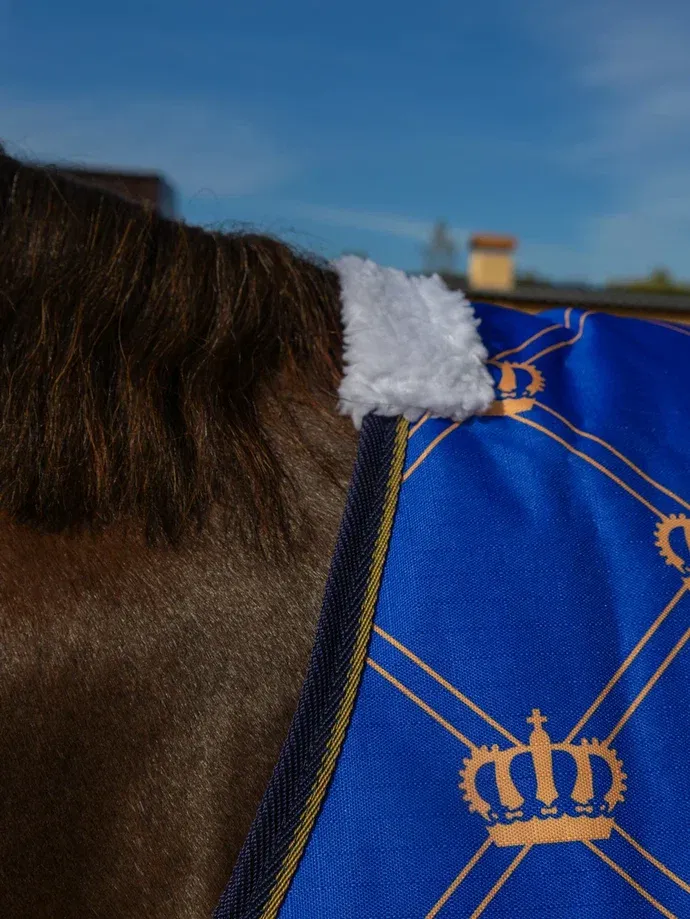 Дождевая попона CROWN HorsePlanet 50grm
