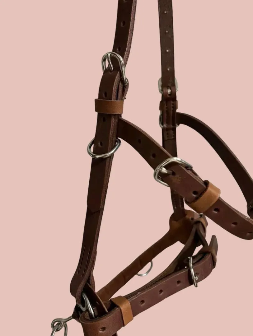 Кавессон с цепью Pony - Cob