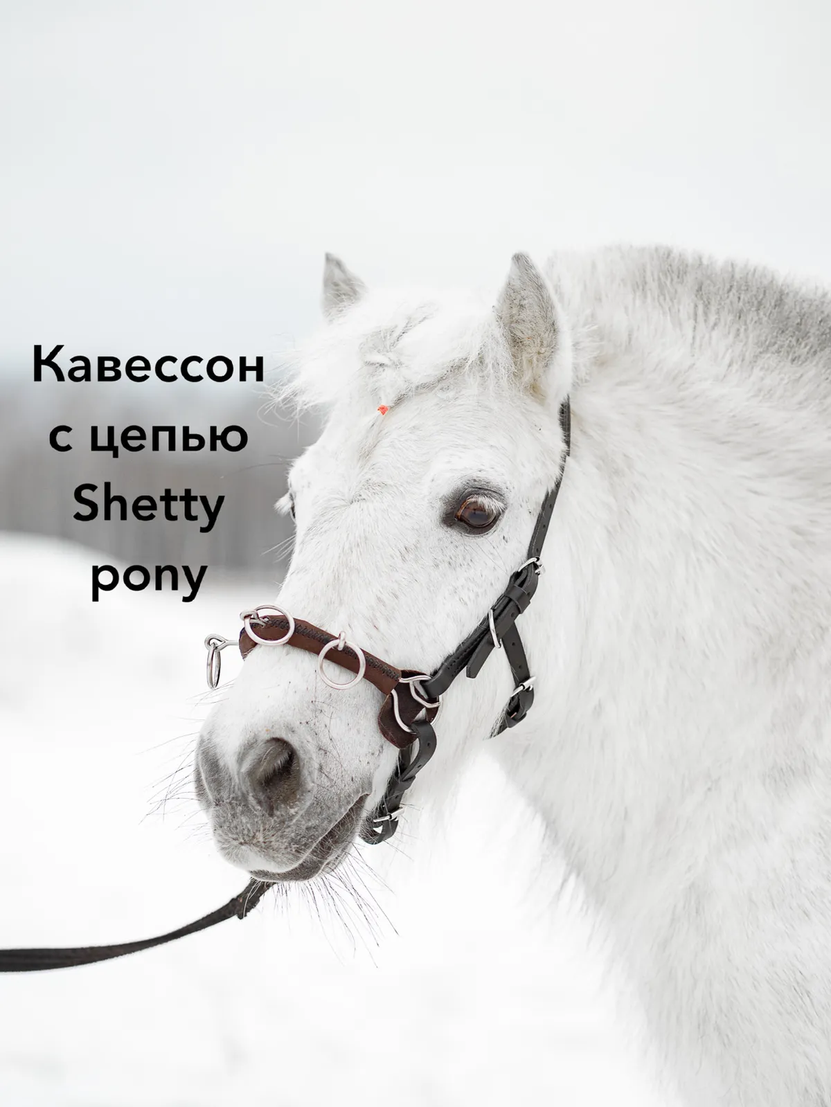 Кавессон с цепью Mini shetty - малый Pony