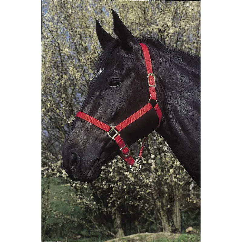 Недоуздок RIDING WORLD (Красный, Cob)