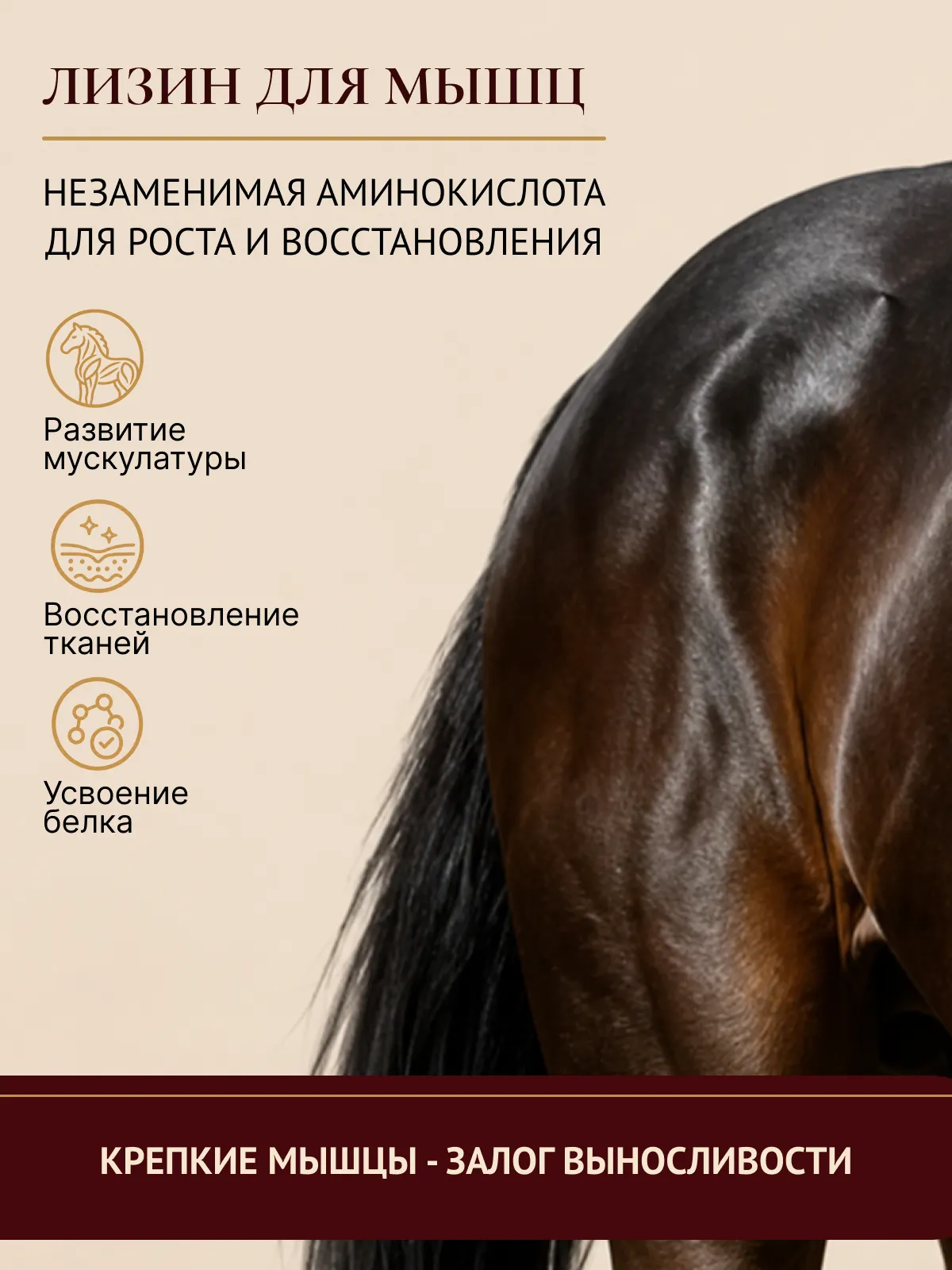 Комплексная подкормка для лошадей "ЭКВИ-ТОНИК"