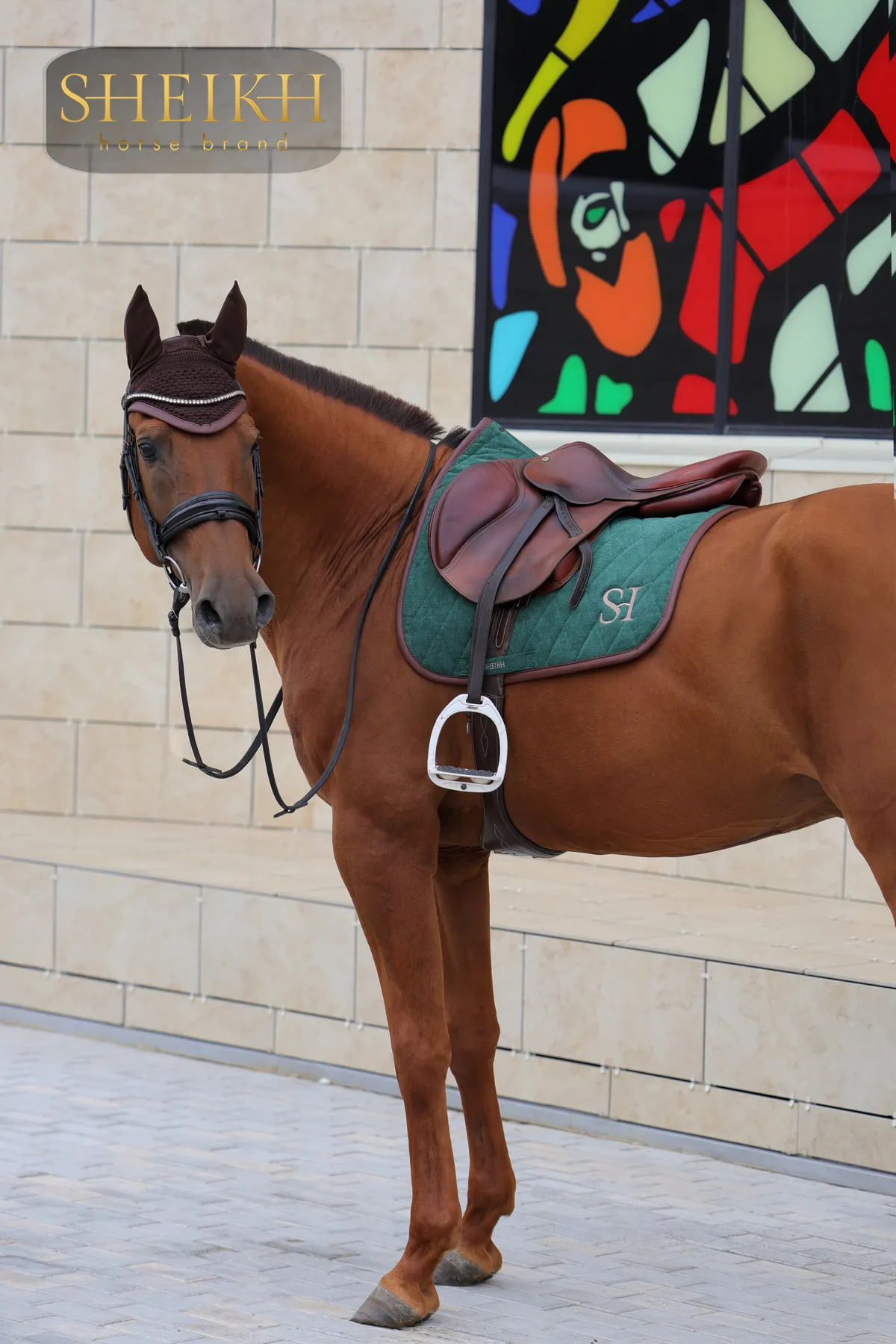 Вальтрап конкурный для верховой езды, конного спорта SHEIKH HORSE BRAND, коллекция FOREST, зеленый