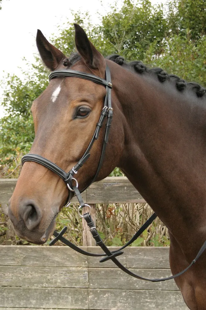 Оголовье безтрензельное КУККА от Harry's Horse