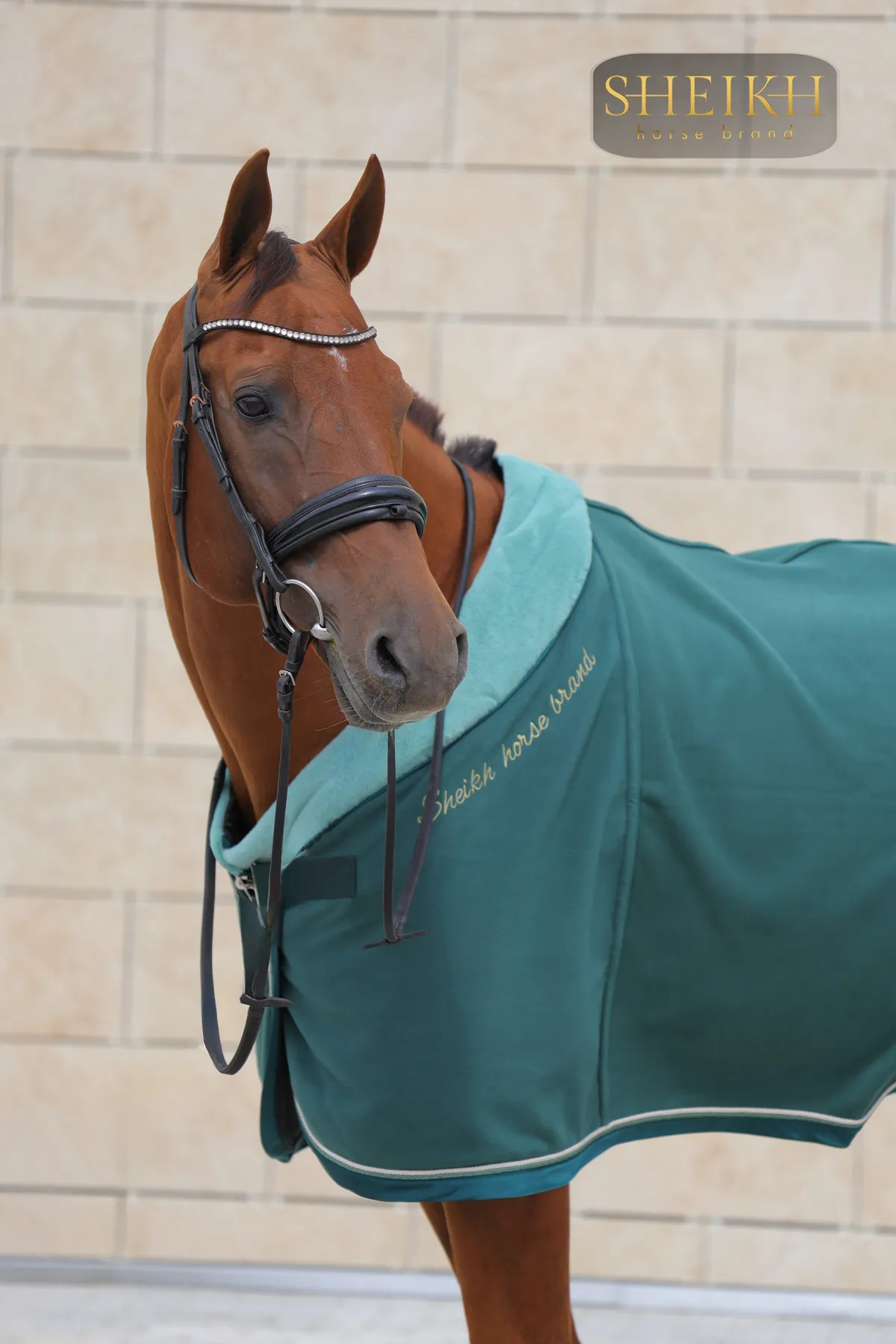 Попона SHEIKH HORSE BRAND, коллекция ORIENTAL, цвет зеленый, р-р 145