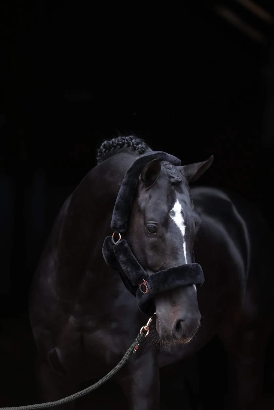 Недоуздок SuperSoft, Covalliero