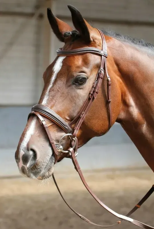 Уздечка "Soft" фулл