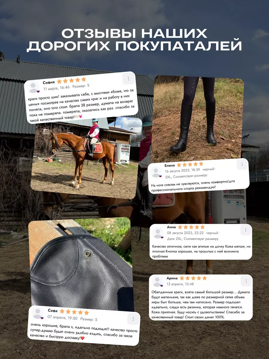 Краги HorsePro