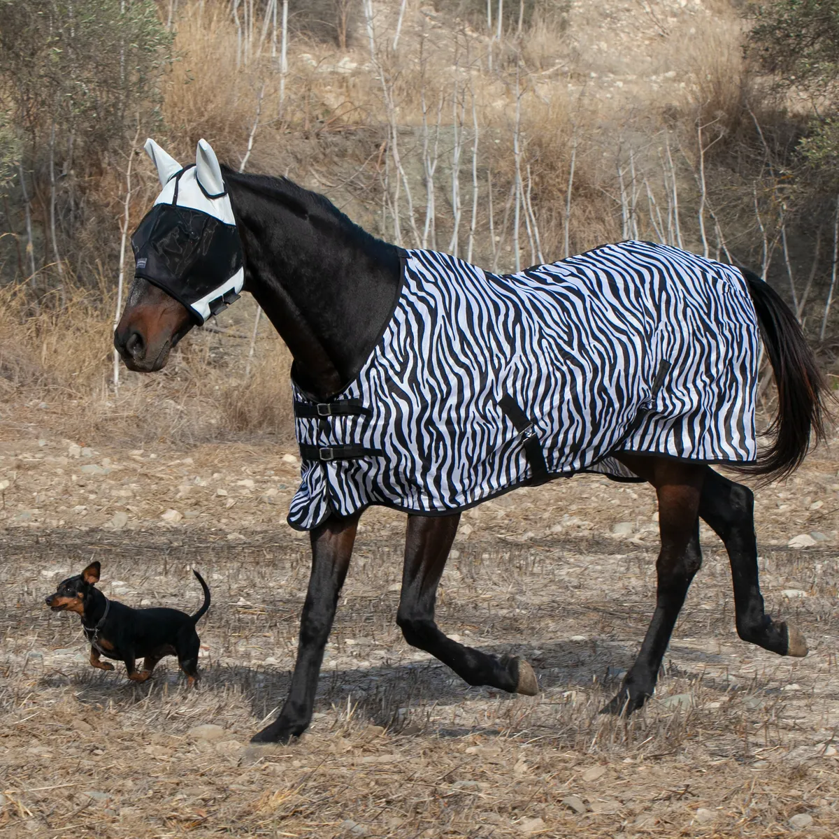 Попона антимоскитная Zebra Print