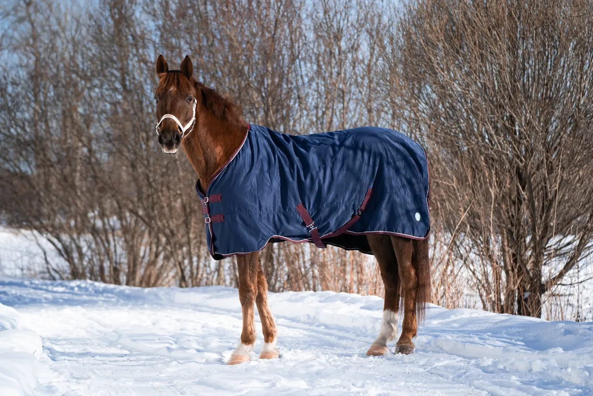 Попона денниковая FLEECE-LINED на флисе