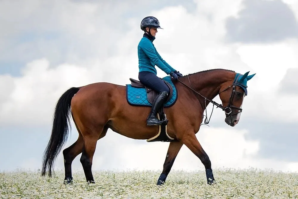 Вальтрап для лошади Equestrian Stockholm Jump Saddle Pad