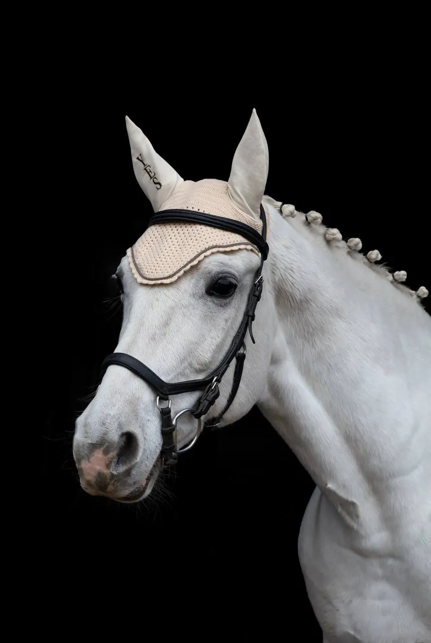 Вальтрап • Weightless • ( Крем | конкур )