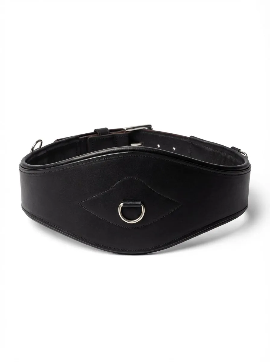 Кожаная подпруга Charm HorsePlanet