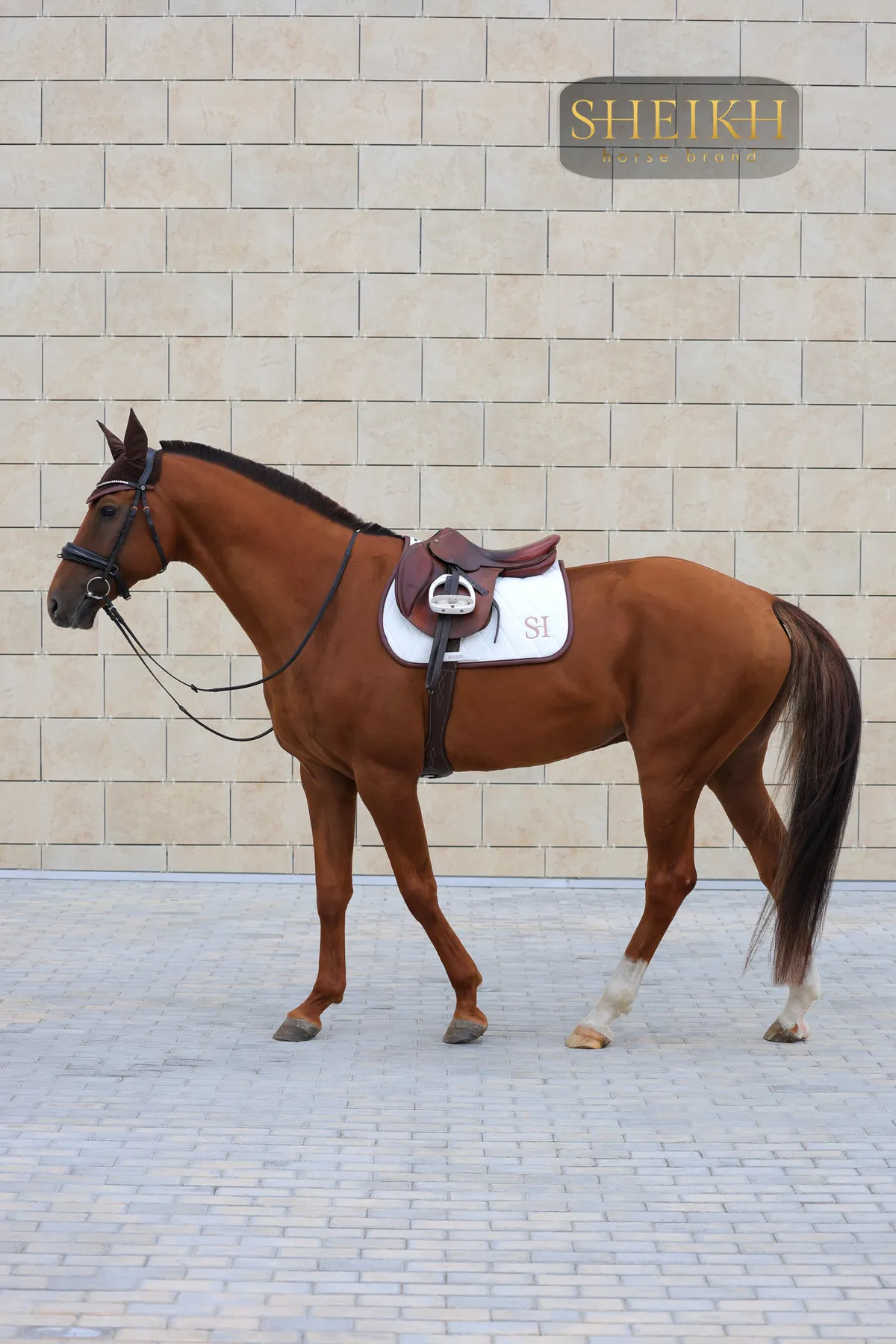 Вальтрап выездковый для верховой езды, конного спорта SHEIKH HORSE BRAND, коллекция FOREST, белый