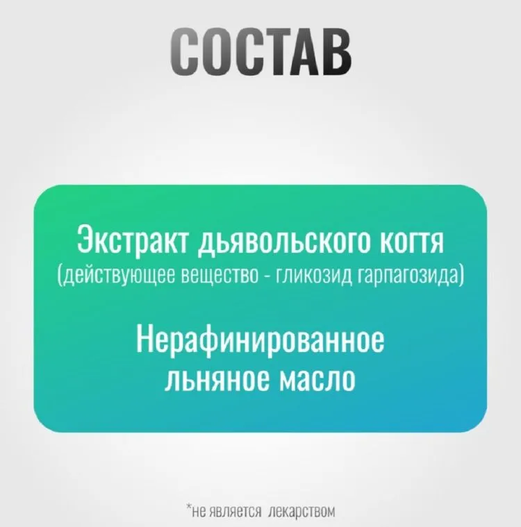 Horse-bio: Эликсир Дьявольской коготь ArtroPro на основе льняного масла для лошадей(без сахара), 1 л.