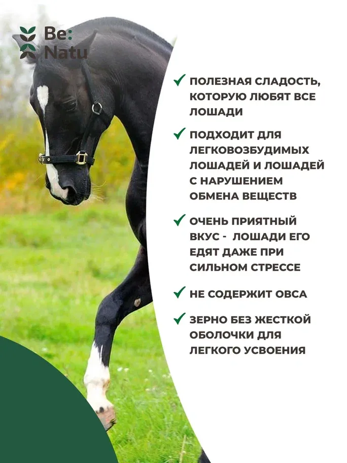 Be:Natu Tasty mash 1 кг.